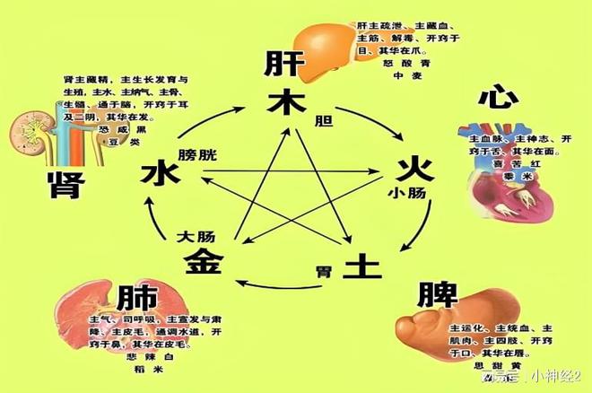 ҽɭΪθøСЧ(ͼ2)